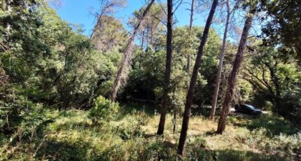 Lorgues Terrain à bâtir - 2669351-9911annonce420261008tAIHr.jpeg Maisons Open