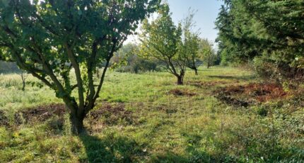 Sénas Terrain à bâtir - 2669453-3969annonce420261008CAKGW.jpeg Maisons Open