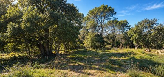 Terrain à bâtir à , Var