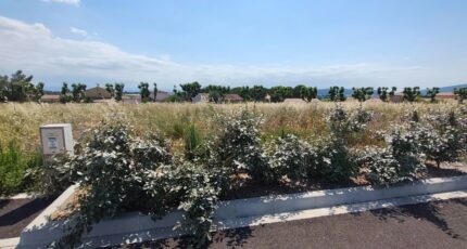 Sainte-Valière Terrain à bâtir - 2669655-11782annonce420261008n1cvP.jpeg Maisons Open