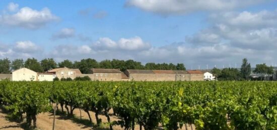 Terrain à bâtir à Canet, Occitanie
