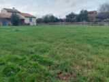  2669207-5604annonce420261008KZtk8.jpeg Maisons Open