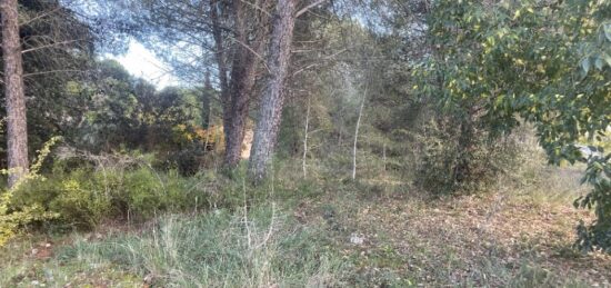 Terrain à bâtir à Alleins, Provence-Alpes-Côte d'Azur