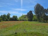  2595703-11516annonce120260804nbQGK.jpeg Maisons Open