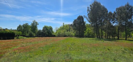 Terrain à bâtir à Aubie-et-Espessas, Nouvelle-Aquitaine