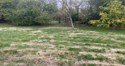 Dourdan Terrain à bâtir - 2671491-4684annonce120261009rHsbZ.jpeg Maisons Open