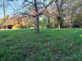  2669735-5604annonce120261008UEG2E.jpeg Maisons Open