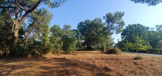 Terrain à bâtir à Martillac, Nouvelle-Aquitaine