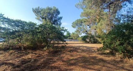 Martillac Terrain à bâtir - 2671785-9575annonce320260721T7xry.jpeg Maisons Open