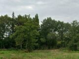  2671783-9575annonce220251216BNm2O.jpeg Maisons Open