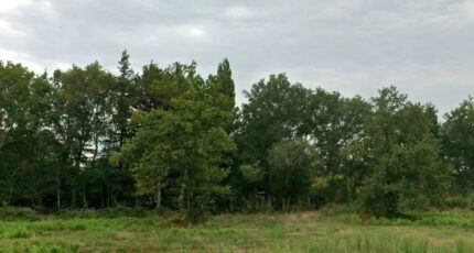 Saint-Aubin-de-Médoc Terrain à bâtir - 2671783-9575annonce220251216BNm2O.jpeg Maisons Open