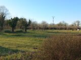  2611563-5020annonce120260831qtz7I.jpeg Maisons Open