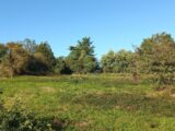  2611622-5020annonce120260831breHQ.jpeg Maisons Open