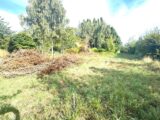  2667968-11632annonce2202610082Pc9T.jpeg Maisons Open