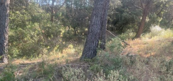 Terrain à bâtir à Lambesc, Provence-Alpes-Côte d'Azur