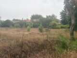  2673399-11954annonce120261012SMnU6.jpeg Maisons Open
