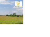  2626607-11966annonce220260909k7oLp.jpeg Maisons Open