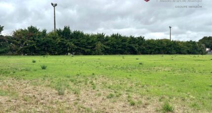 Longèves Terrain à bâtir - 2667700-9644annonce420261007Xom0O.jpeg Maisons Open