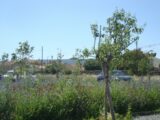  2577928-11080annonce320260708ce060.jpeg Maisons Open