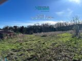  2671691-10896annonce120261010E0u1u.jpeg Maisons Open