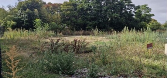 Terrain à bâtir à Béguey, Nouvelle-Aquitaine