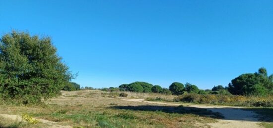 Terrain à bâtir à Latour-Bas-Elne, Occitanie