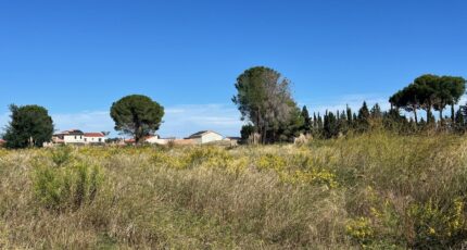 Laroque-des-Albères Terrain à bâtir - 2623095-4671annonce120260907qaG4t.jpeg Maisons Open