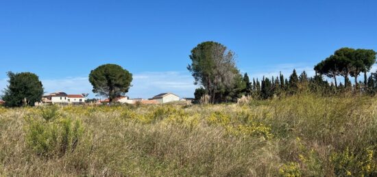 Terrain à bâtir à Laroque-des-Albères, Occitanie