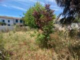  2573123-7092annonce120260703KFNCr.jpeg Maisons Open