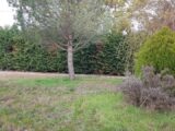  2670834-9555annonce120261009BmHkt.jpeg Maisons Open