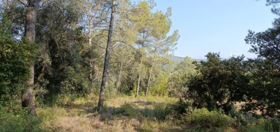 Terrain à bâtir à Carnoules, Provence-Alpes-Côte d'Azur