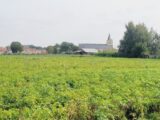  2674912-10722annonce1202610136m7Gs.jpeg Maisons Open