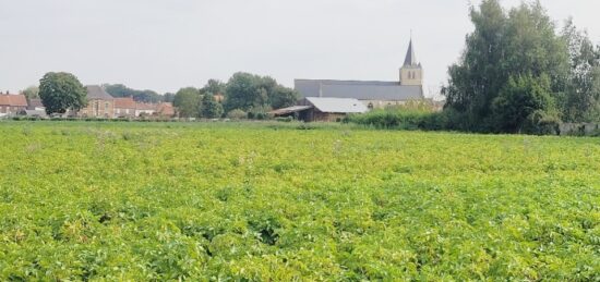 Terrain à bâtir à Audruicq, Hauts-de-France