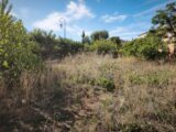  2675189-11039annonce1202610130WmEC.jpeg Maisons Open