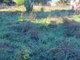  2675497-11041annonce3202610137ziSc.jpeg Maisons Open