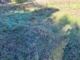  2675497-11041annonce420261013ld0AB.jpeg Maisons Open
