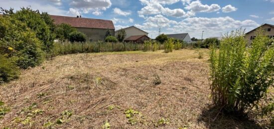 Terrain à bâtir à La Villeneuve-en-Chevrie, Île-de-France