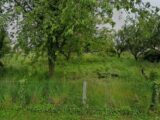  2676024-11786annonce120261014uG4L4.jpeg Maisons Open