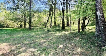Plan-d'Aups-Sainte-Baume Terrain à bâtir - 2676443-10271annonce120261014GSlwH.jpeg Maisons Open