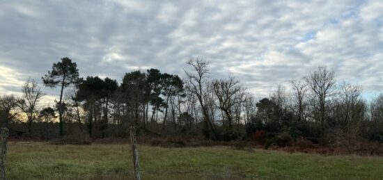 Terrain à bâtir à Roaillan, Nouvelle-Aquitaine