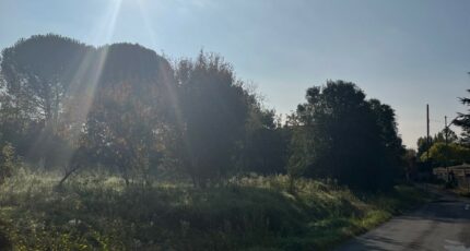 Albi Terrain à bâtir - 2673168-2684annonce2202610124GNKh.jpeg Maisons Open