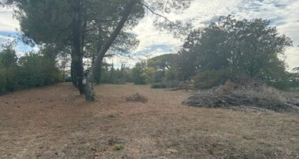 Buzet-sur-Tarn Terrain à bâtir - 2677063-11356annonce320261014WDkqq.jpeg Maisons Open