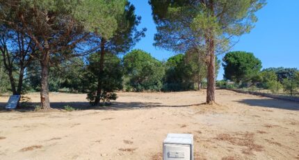 Elne Terrain à bâtir - 2678436-4671annonce120261015CDrr6.jpeg Maisons Open