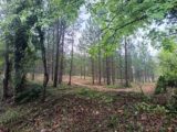  2650943-6150annonce120260630qIKAx.jpeg Maisons Open