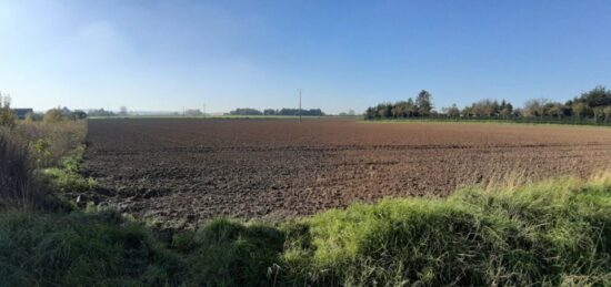 Terrain à bâtir à Sains-en-Gohelle, Hauts-de-France