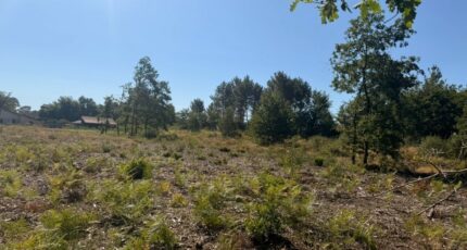 Belin-Béliet Terrain à bâtir - 2679915-10657annonce1202610162MqmT.jpeg Maisons Open