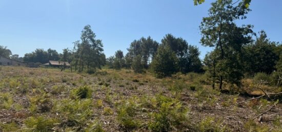 Terrain à bâtir à Belin-Béliet, Nouvelle-Aquitaine