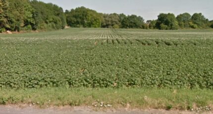 Vitry-en-Artois Terrain à bâtir - 2680222-6130annonce120261016cDWqz.jpeg Maisons Open