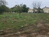  2676514-11516annonce120261014hhMlV.jpeg Maisons Open