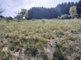  2621345-9455annonce22026090568cTA.jpeg Maisons Open